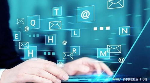 湖南助企文化傳媒 企業網絡營銷推廣與網絡經營實戰指南